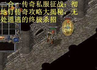 二合一传奇私服征战：彻地钉传奇攻略大揭秘，无处遁逃的终极杀招