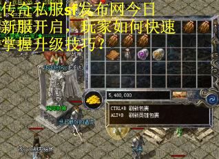 传奇私服sf发布网今日新服开启，玩家如何快速掌握升级技巧？