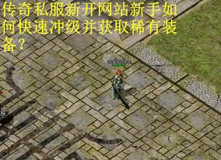 传奇私服新开网站新手如何快速冲级并获取稀有装备？