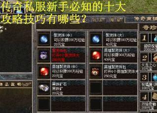 传奇私服新手必知的十大攻略技巧有哪些? 传奇私服新手必知的十大攻略技巧有哪些?