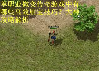 单职业微变传奇游戏中有哪些高效刷宝技巧？大神攻略解析