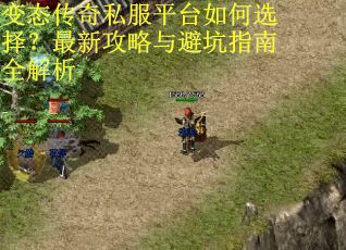 变态传奇私服平台如何选择?最新攻略与避坑指南全解析 变态传奇私服平台如何选择?最新攻略与避坑指南全解析