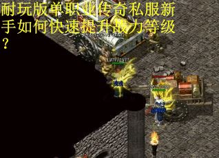 耐玩版单职业传奇私服新手如何快速提升战力等级？