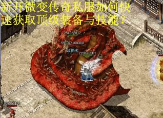 新开微变传奇私服如何快速获取顶级装备与技能？