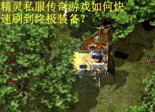 精灵私服传奇游戏如何快速刷到终极装备？