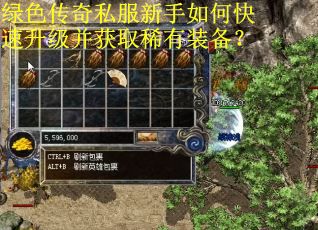 绿色传奇私服新手如何快速升级并获取稀有装备? 绿色传奇私服新手如何快速升级并获取稀有装备?