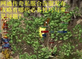 网通传奇私服合击服发布攻略有哪些必备技巧与常见问题? 网通传奇私服合击服发布攻略有哪些必备技巧与常见问题?