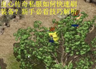良心传奇私服如何快速刷装备?新手必看技巧解析 良心传奇私服如何快速刷装备?新手必看技巧解析
