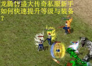 龙腾仿盛大传奇私服新手如何快速提升等级与装备？