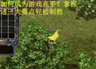 如何成为游戏高手？掌握这三大要点轻松制胜