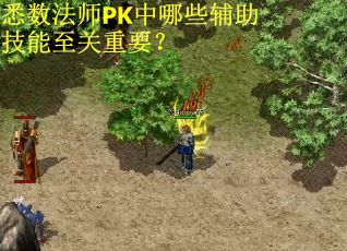 悉数法师PK中哪些辅助技能至关重要？