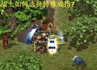 战士如何选择特殊戒指?? 战士如何选择特殊戒指??