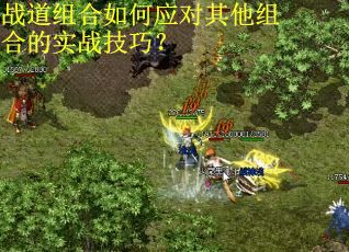 战道组合如何应对其他组合的实战技巧？