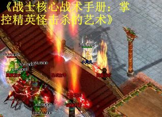 《战士核心战术手册：掌控精英怪击杀的艺术》