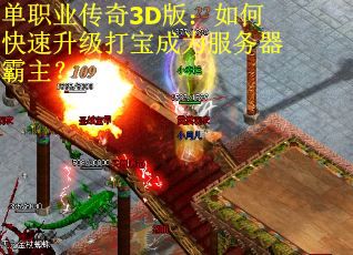 单职业传奇3D版：如何快速升级打宝成为服务器霸主？