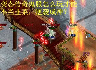 变态传奇鬼服怎么玩才能不当韭菜，逆袭成神？