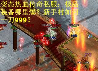 变态热血传奇私服：极品装备哪里爆？新手村如何一刀999？