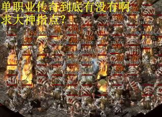 单职业传奇到底有没有啊求大神指点？