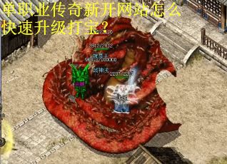 单职业传奇新开网站怎么快速升级打宝？
