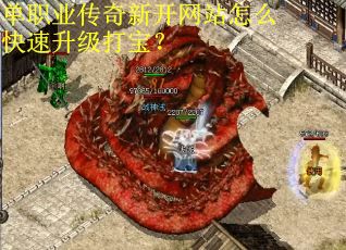 单职业传奇新开网站怎么快速升级打宝？