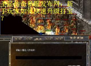 圣星传奇私服发布网：新手玩家如何快速升级打宝？