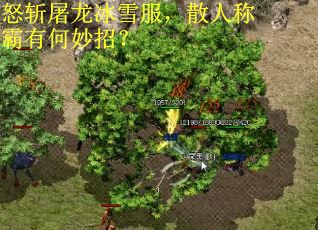 怒斩屠龙冰雪服，散人称霸有何妙招？