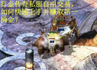 打金传奇私服自由交易，如何快速上手并赚取第一桶金？