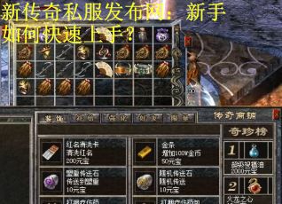 新传奇私服发布网：新手如何快速上手？