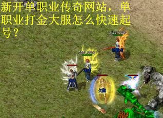 新开单职业传奇网站，单职业打金大服怎么快速起号？