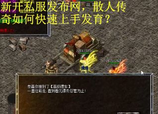 新开私服发布网，散人传奇如何快速上手发育？