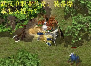 武汉单职业传奇，装备爆率怎么提升？