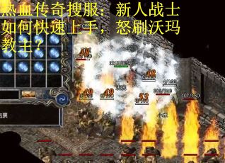 热血传奇搜服：新人战士如何快速上手，怒刷沃玛教主？