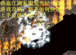 热血江湖私服发布站传奇游戏攻略：新手如何快速上手打怪升级？