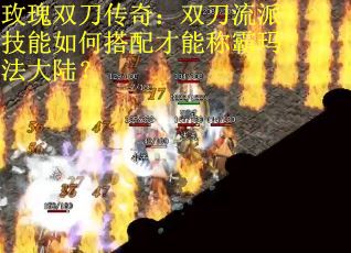 玫瑰双刀传奇：双刀流派技能如何搭配才能称霸玛法大陆？