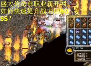 盛大传奇单职业新开网，如何快速提升战力刷BOSS？