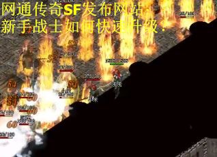 网通传奇SF发布网站：新手战士如何快速升级？