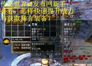 传奇世界sf发布网新手必看：怎样快速提升战力与获取稀有装备？
