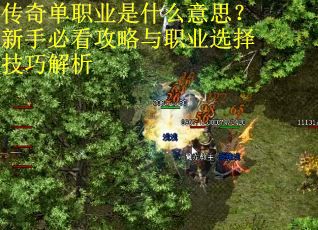 传奇单职业是什么意思？新手必看攻略与职业选择技巧解析