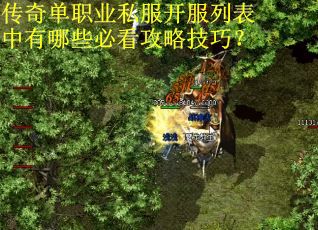 传奇单职业私服开服列表中有哪些必看攻略技巧？