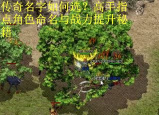 传奇名字如何选？高手指点角色命名与战力提升秘籍