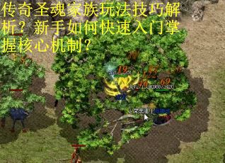 传奇圣魂家族玩法技巧解析？新手如何快速入门掌握核心机制？