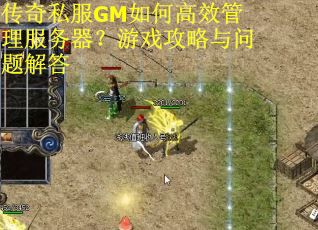传奇私服GM如何高效管理服务器？游戏攻略与问题解答