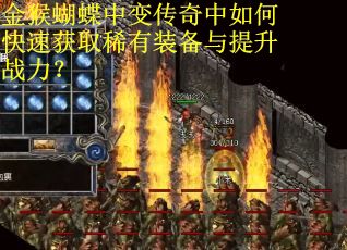 金猴蝴蝶中变传奇中如何快速获取稀有装备与提升战力？