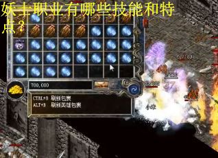 妖士职业有哪些技能和特点？