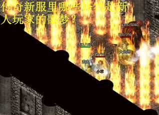 传奇新服里哪些怪物是新人玩家的噩梦? 传奇新服里哪些怪物是新人玩家的噩梦?