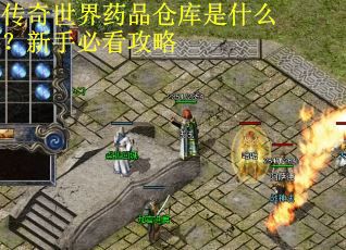 传奇世界药品仓库是什么？新手必看攻略