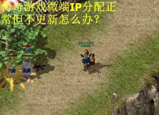 传奇游戏微端IP分配正常但不更新怎么办? 传奇游戏微端IP分配正常但不更新怎么办?