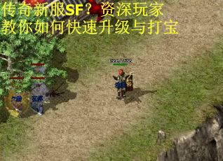 传奇新服SF？资深玩家教你如何快速升级与打宝