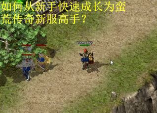 如何从新手快速成长为蛮荒传奇新服高手？