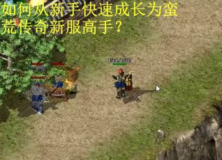 如何从新手快速成长为蛮荒传奇新服高手？